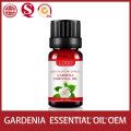 Professional Manufacturing Natural Essential Oil Organic Gardenia Essential Oil